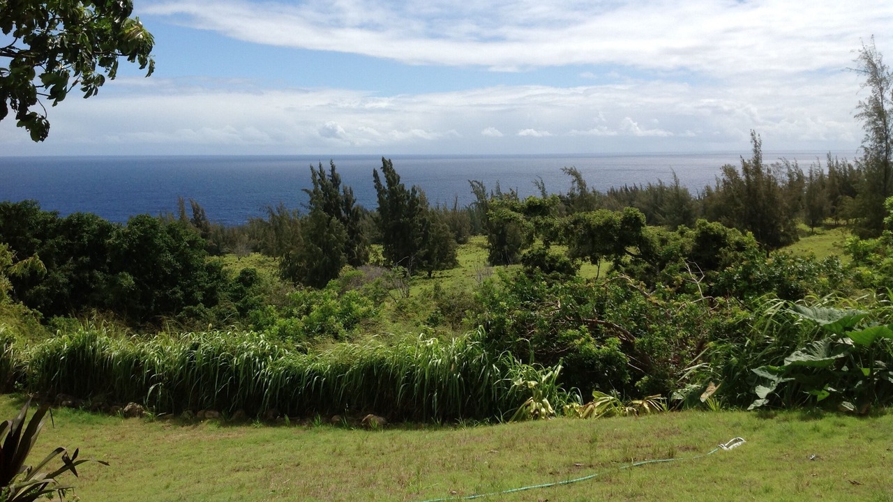 Photo of Outdoor in Honokaa