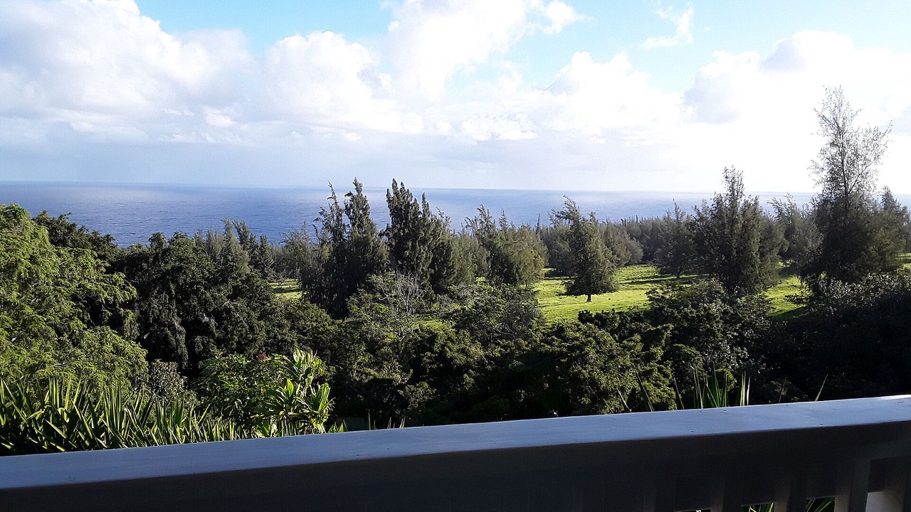 Photo of Others in Honokaa