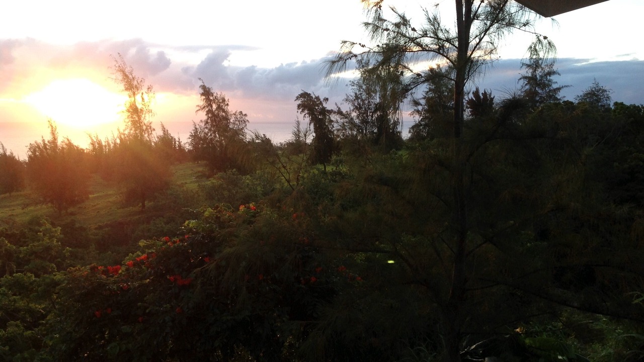Photo of Others in Honokaa