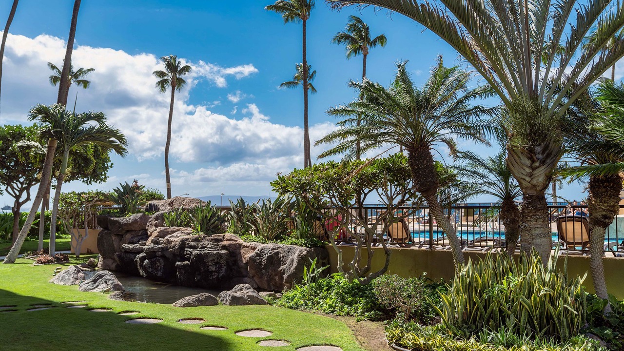 Photo of Outdoor in Kihei