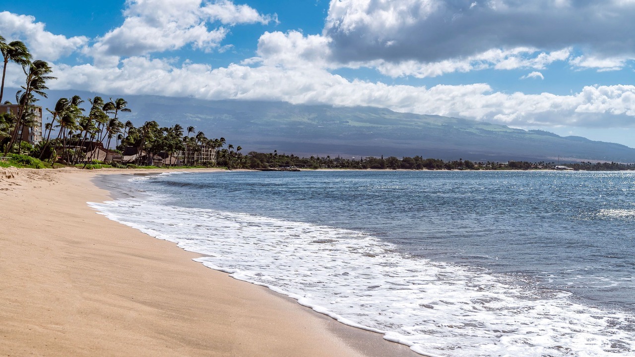 Photo of Others in Kihei