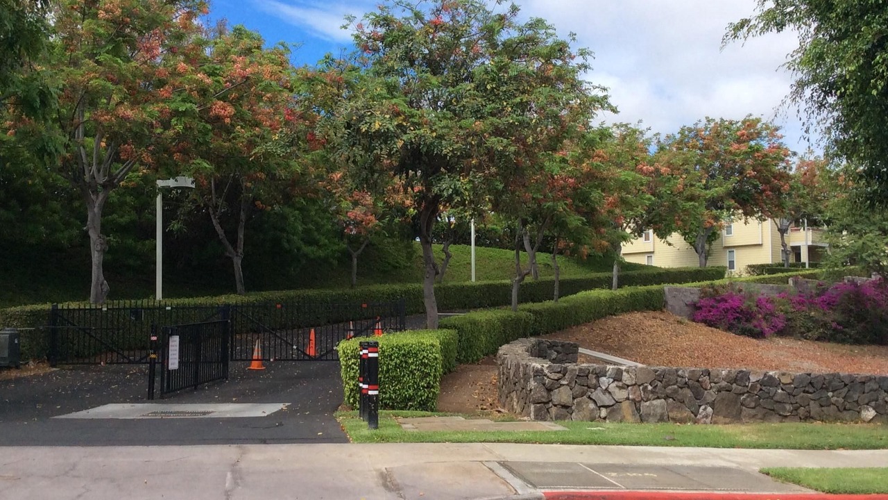 Photo of Outdoor in Waikoloa