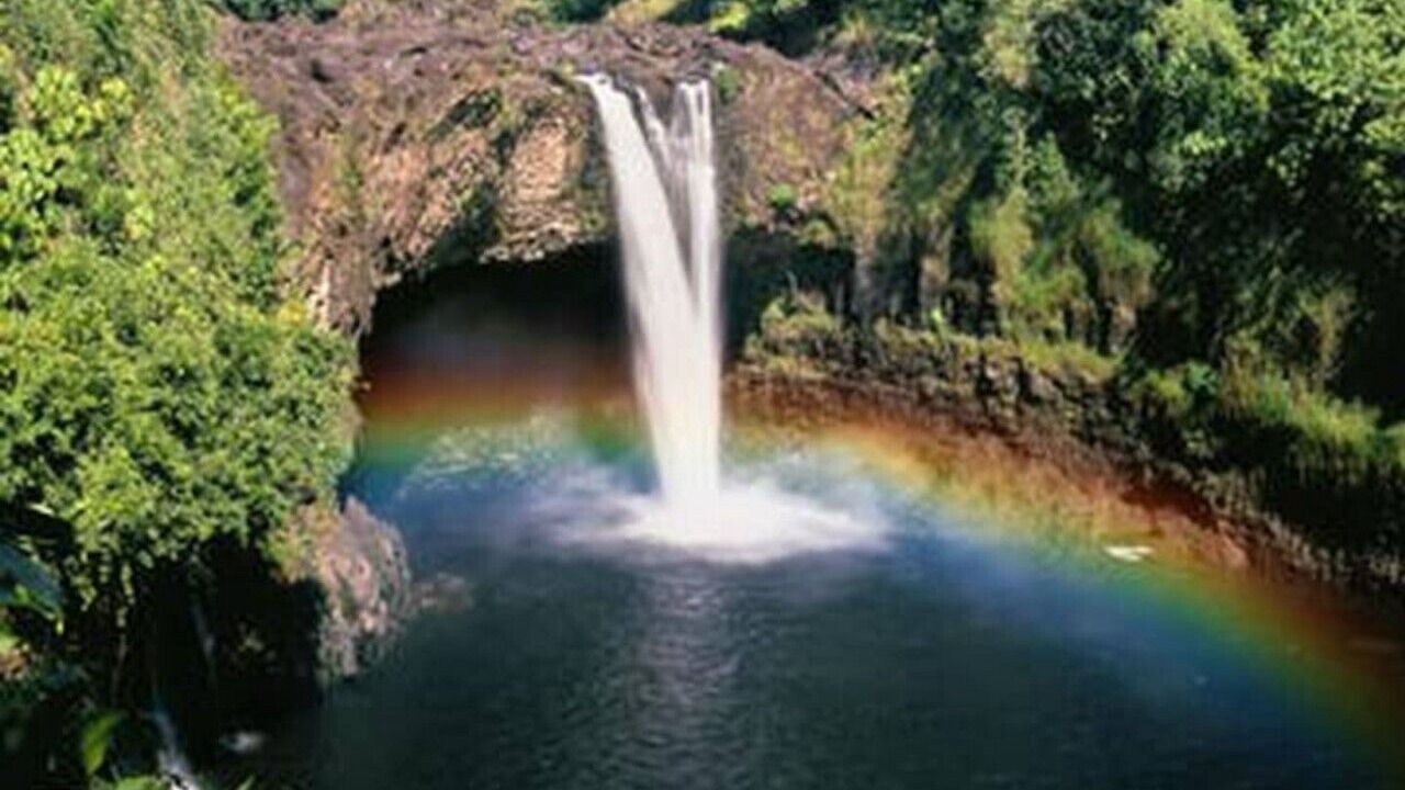 Photo of Others in Hilo