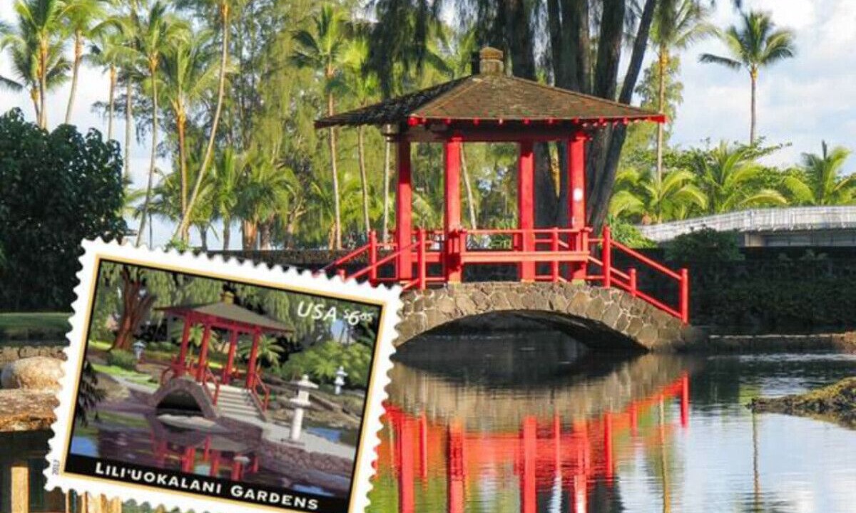 Photo of Others in Hilo