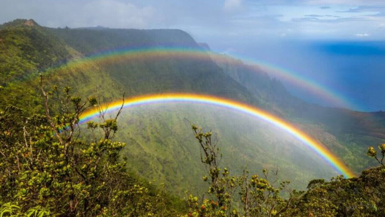 Photo of Others in Hilo
