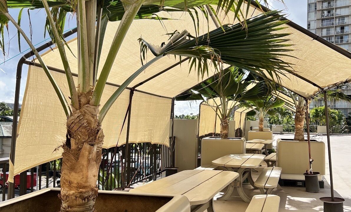 Photo of Outdoor in McCully - Moiliili