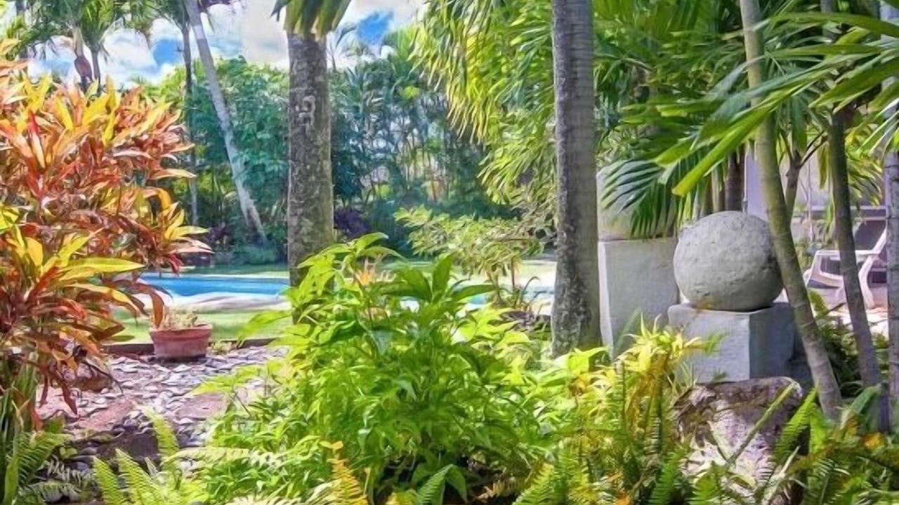 Photo of Outdoor in Kailua