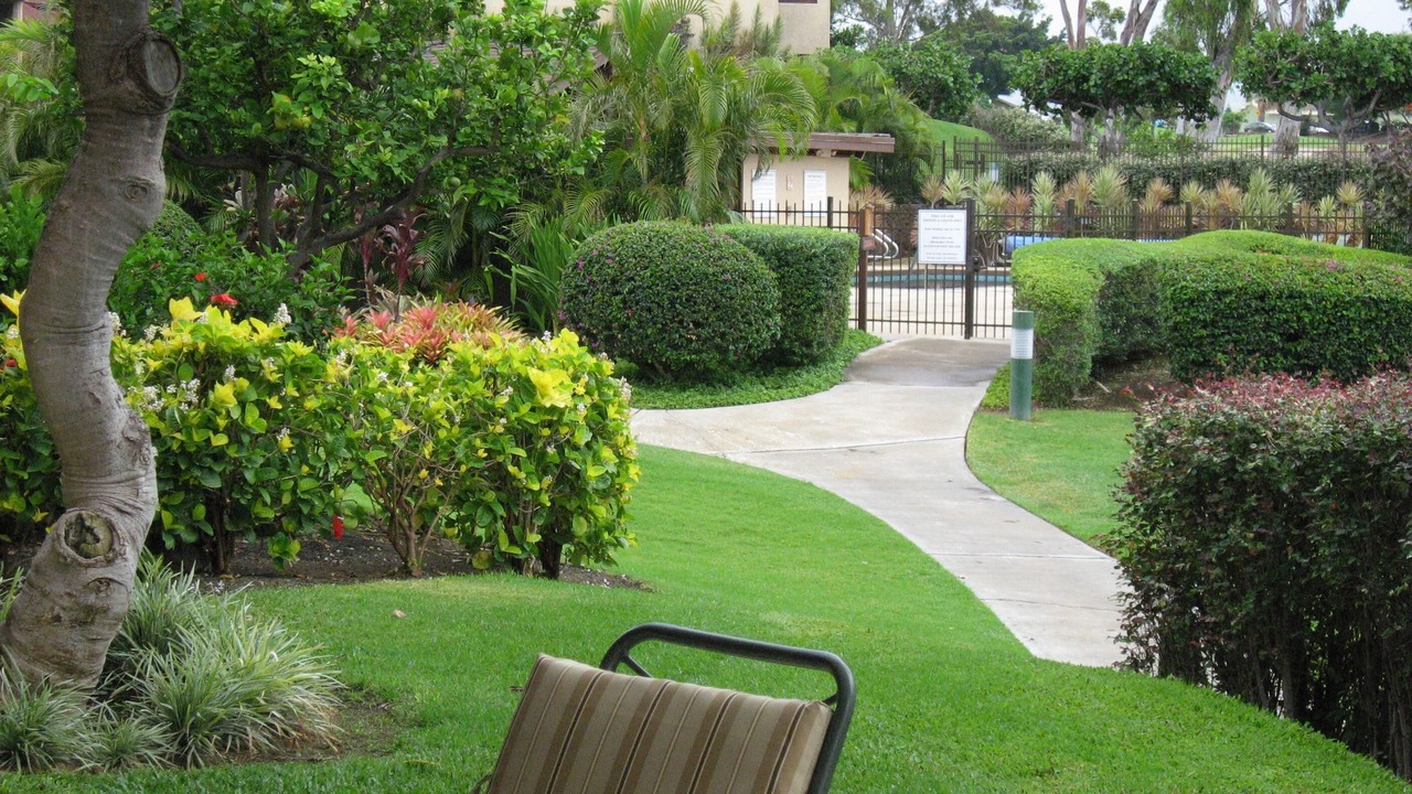 Photo of Outdoor in Waikoloa