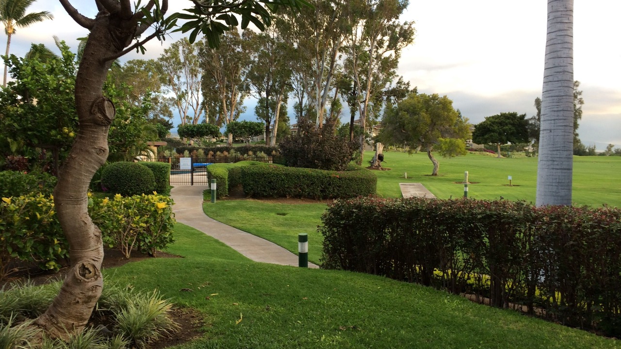 Photo of Others in Waikoloa