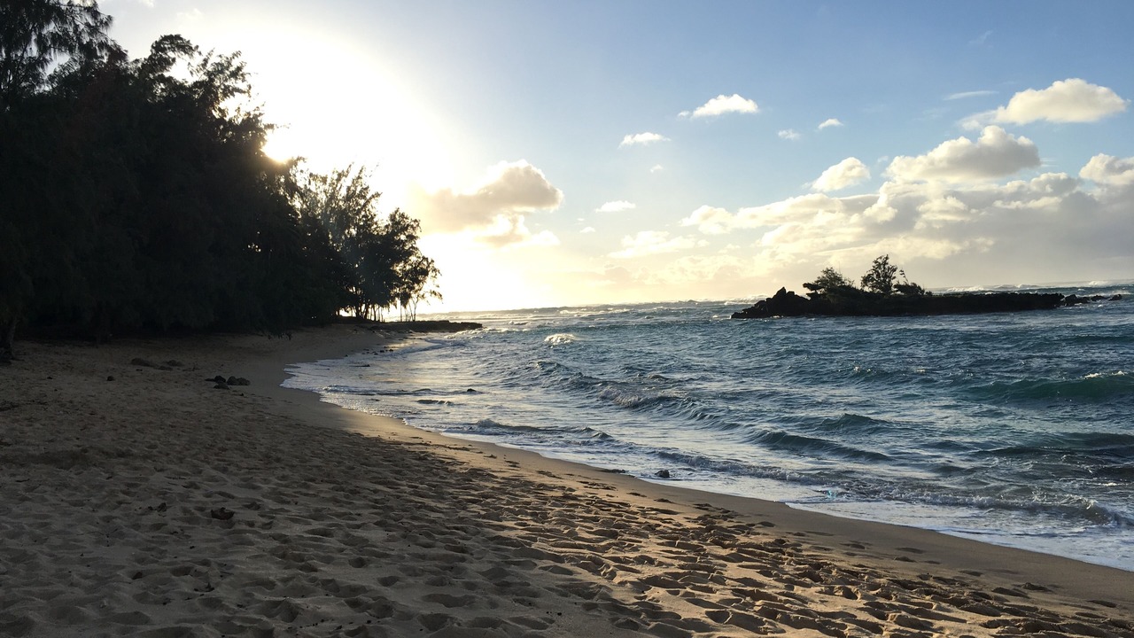 Photo of Others in Kahuku