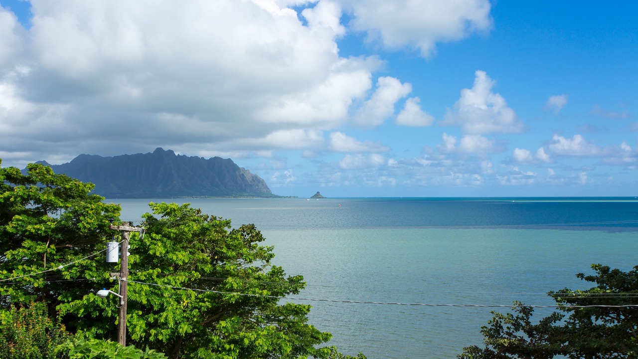 Photo of Others in Kaneohe