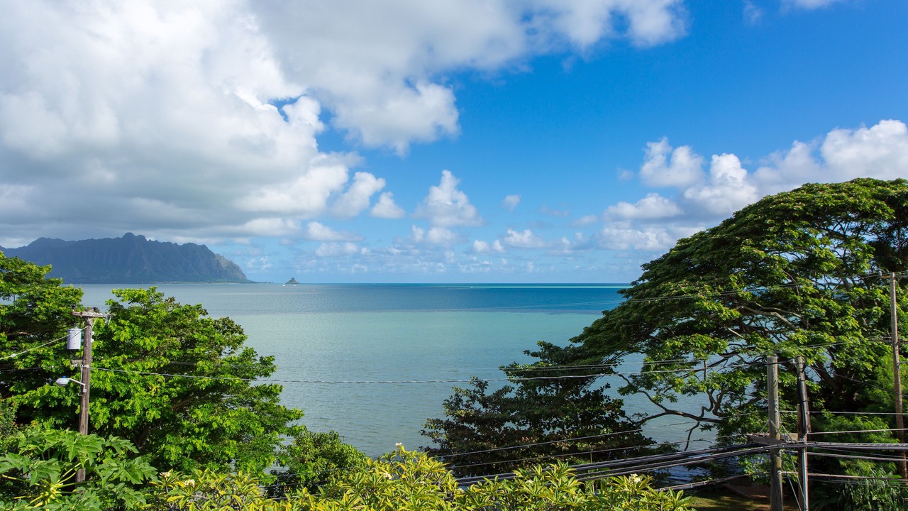 Photo of Others in Kaneohe