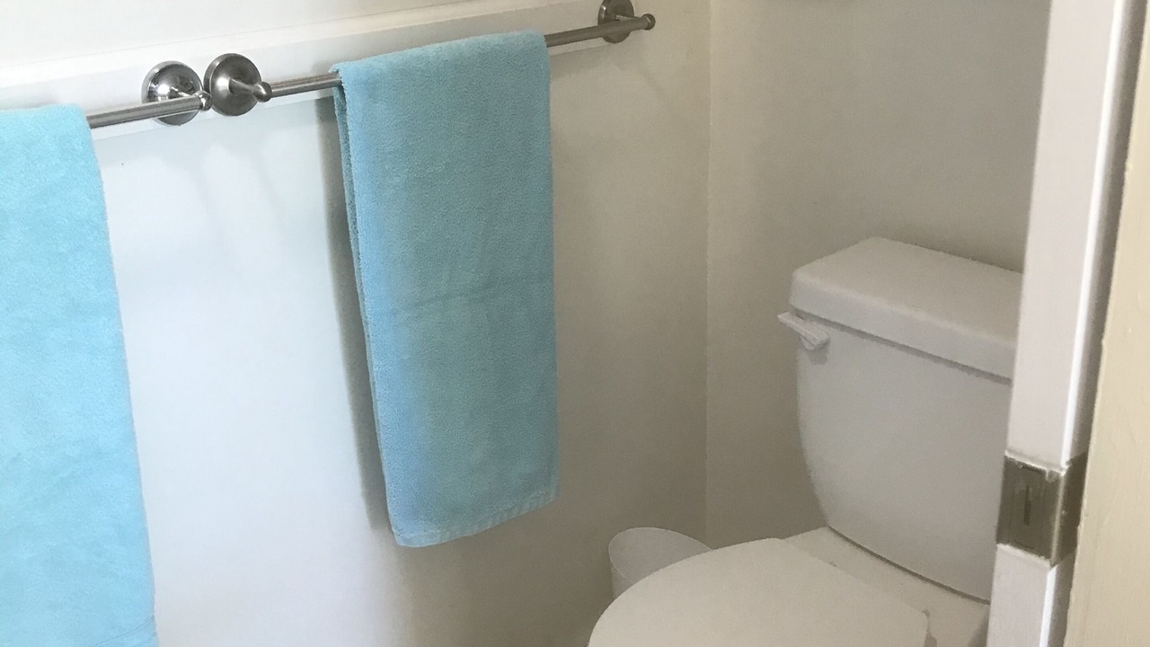 Photo of Bathroom in Punaluu