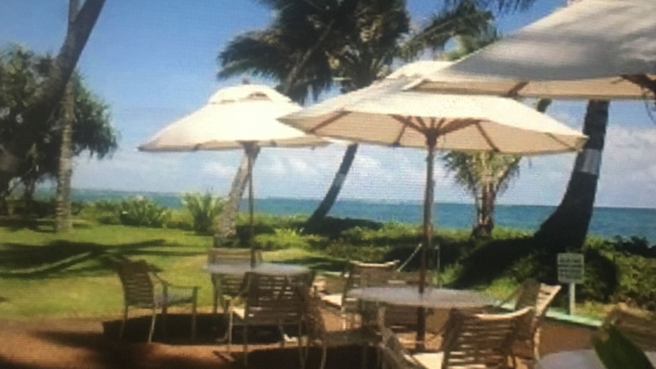 Photo of Outdoor in Punaluu