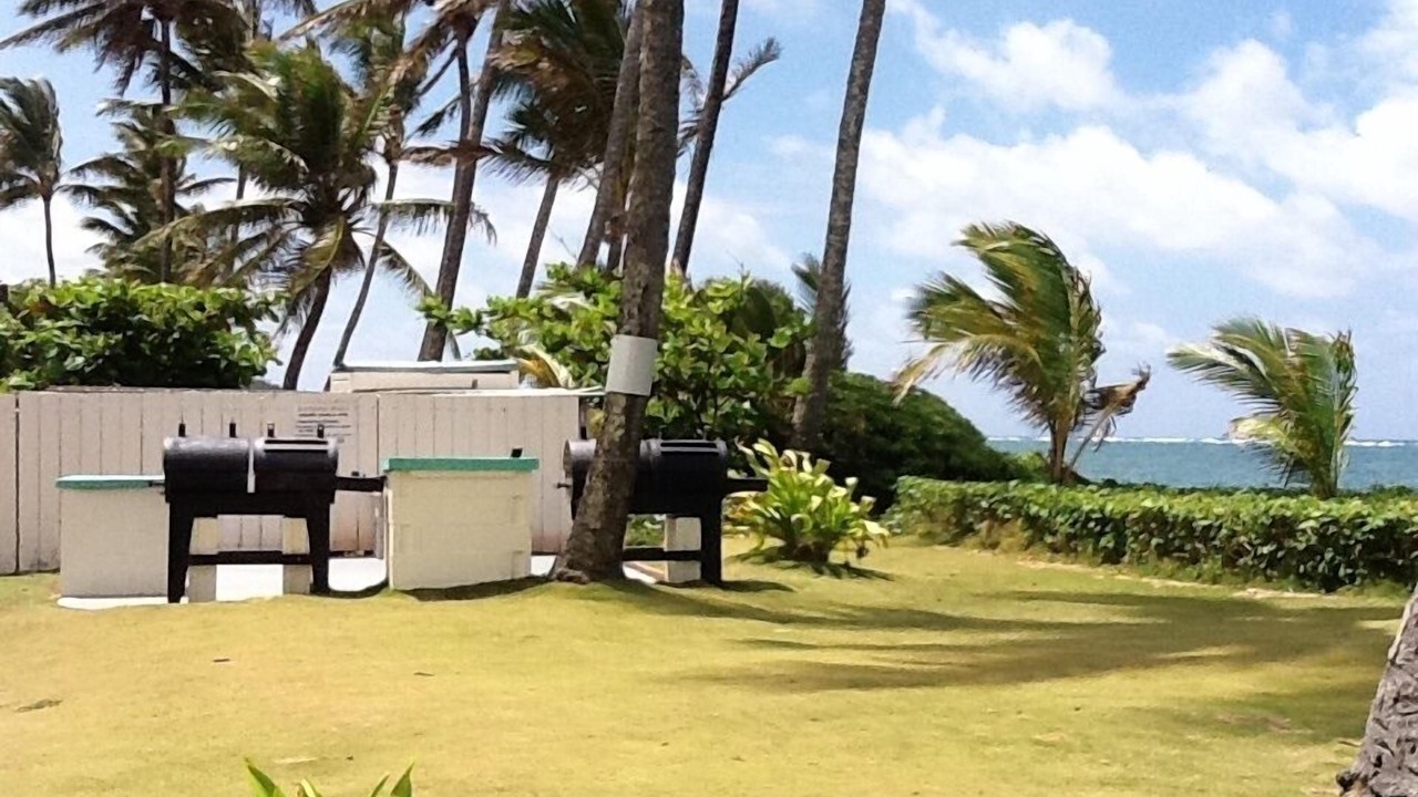 Photo of Outdoor in Punaluu