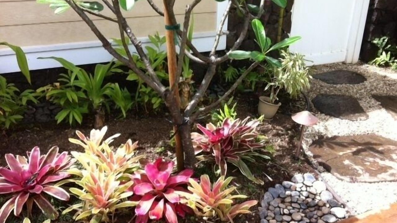 Photo of Outdoor in Kuliouou - Kalani Iki