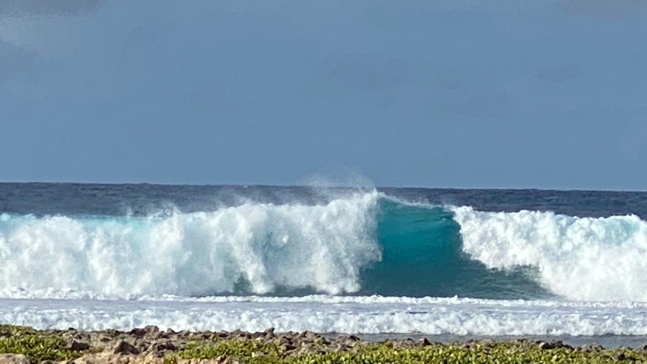 Photo of Others in Kahuku
