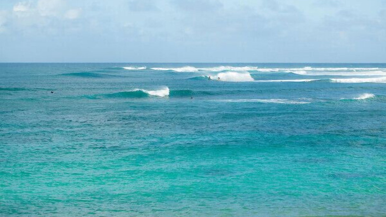 Photo of Others in Pupukea