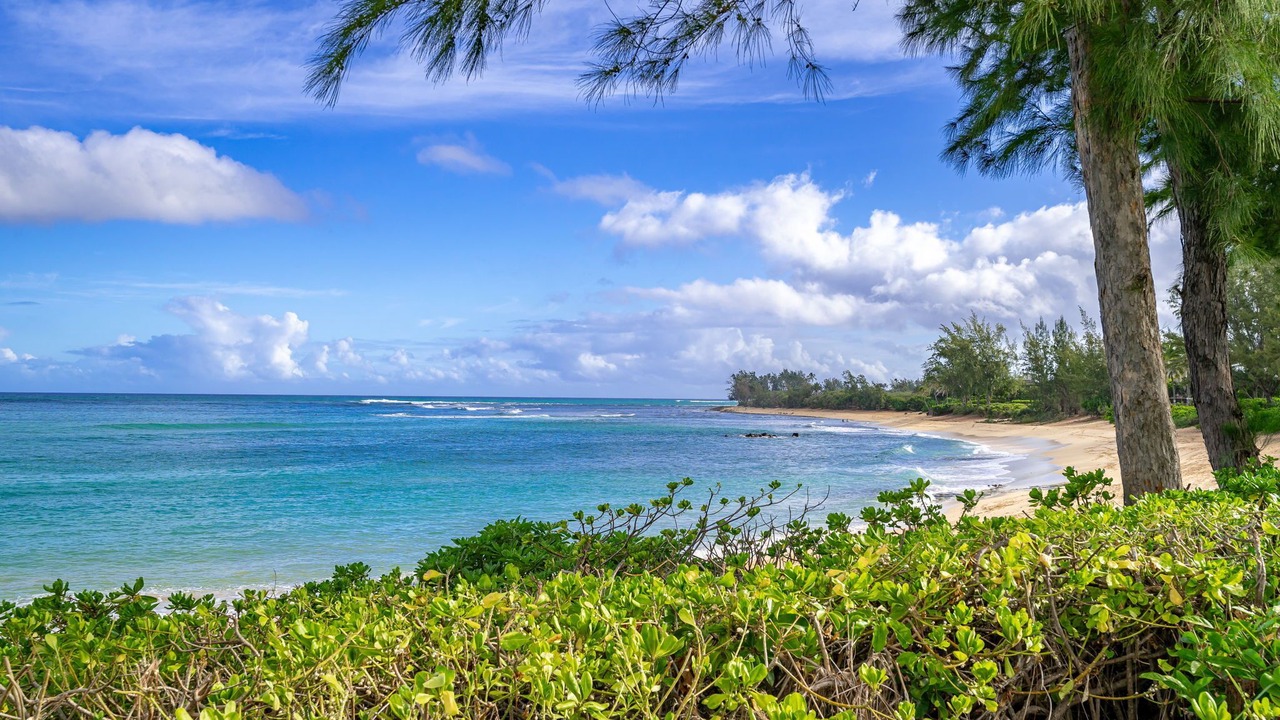 Photo of Others in Pupukea