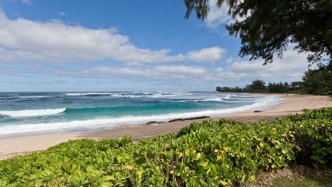 Photo of Others in Pupukea