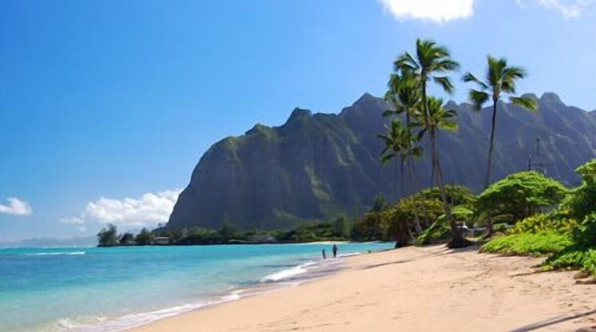 Photo of Others in Ka'a'awa
