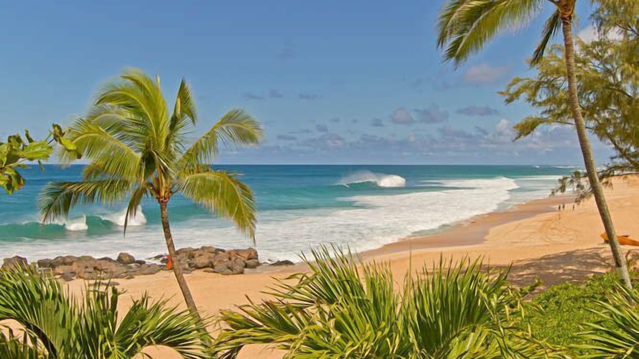 Photo of Others in Pupukea