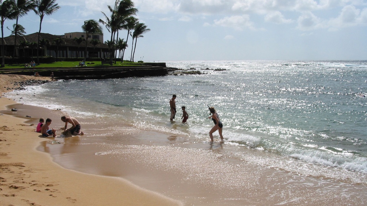 Photo of Others in Poipu