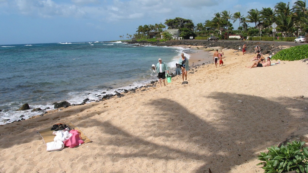 Photo of Others in Poipu