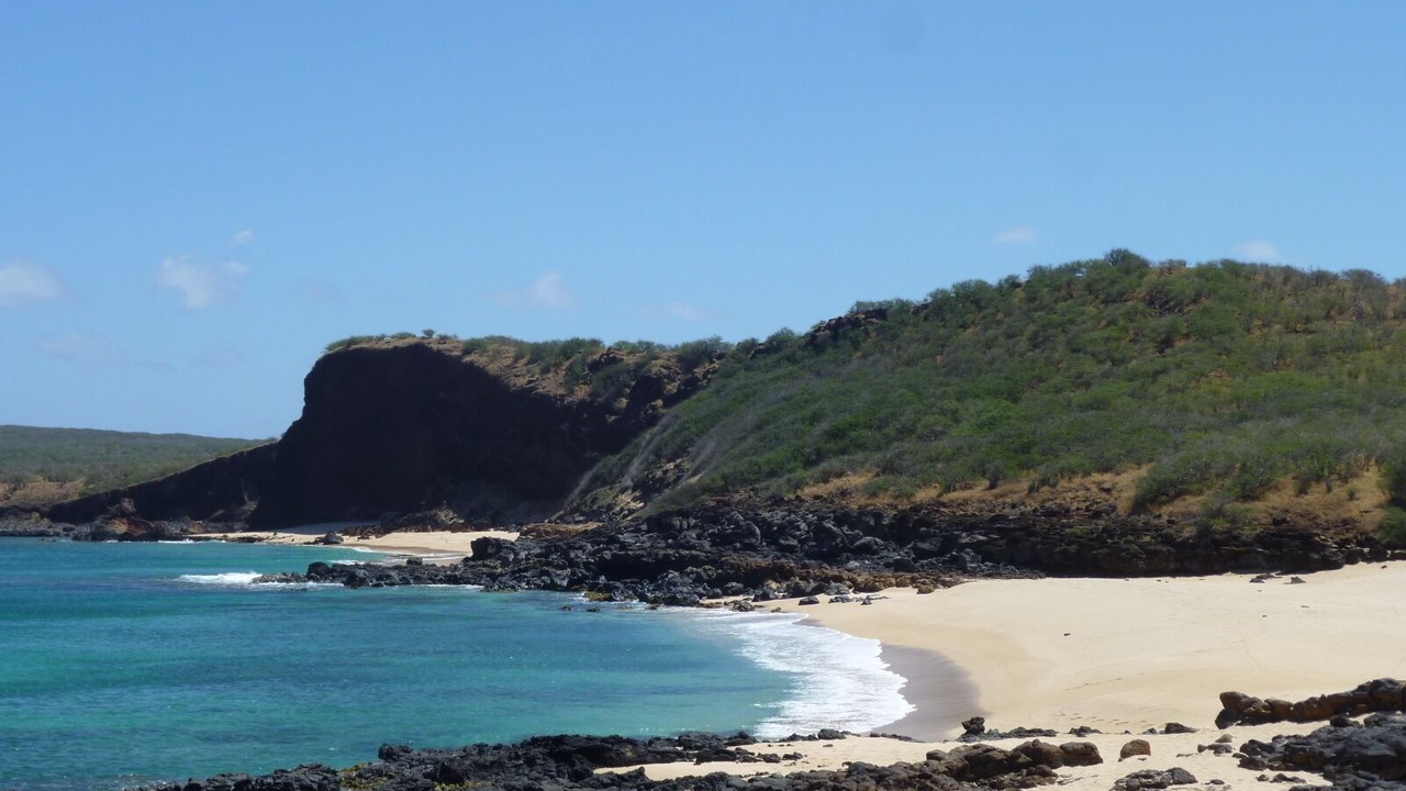 Photo of Others in Maunaloa