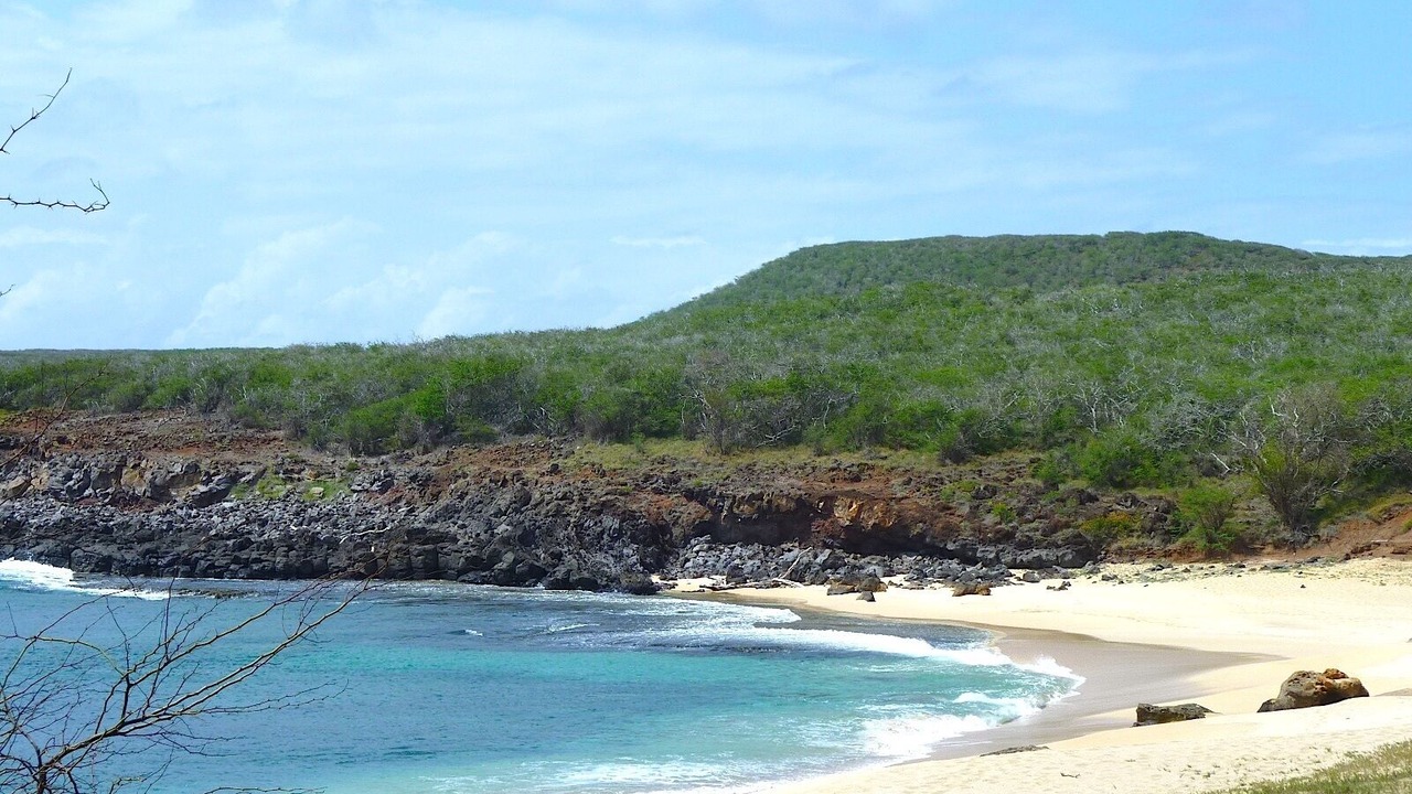 Photo of Others in Maunaloa