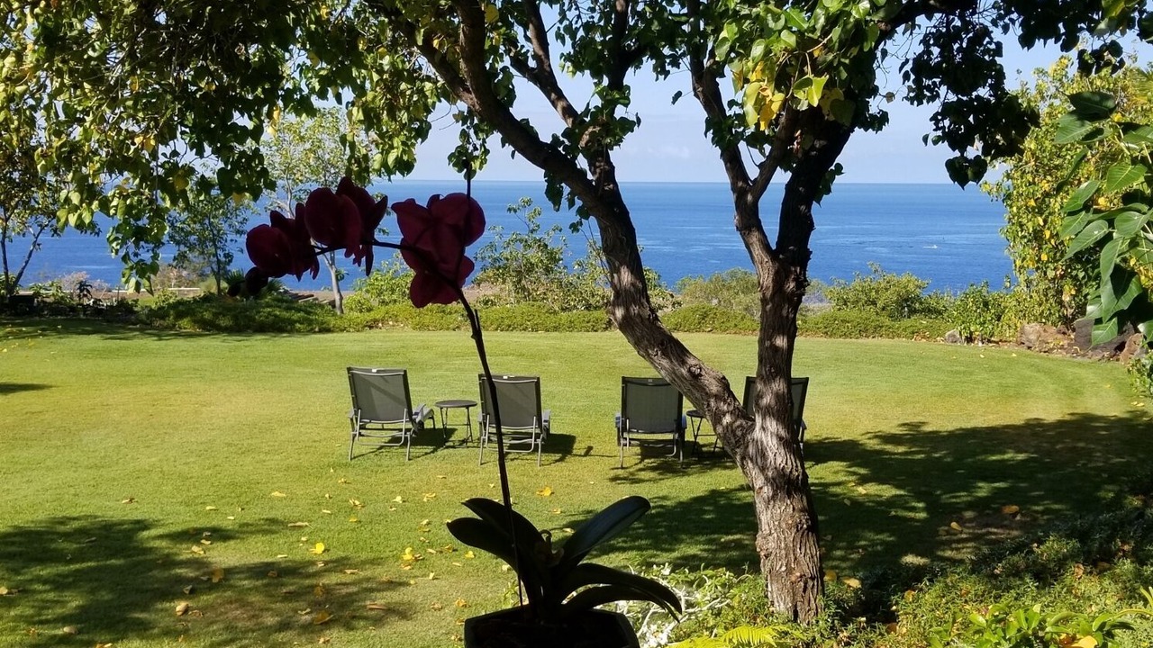 Photo of Outdoor in Kohala Estates