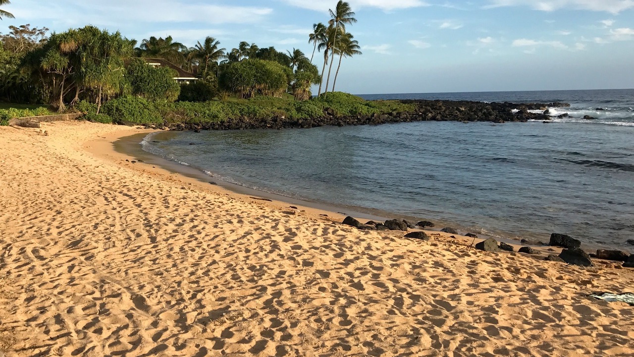 Photo of Others in Koloa