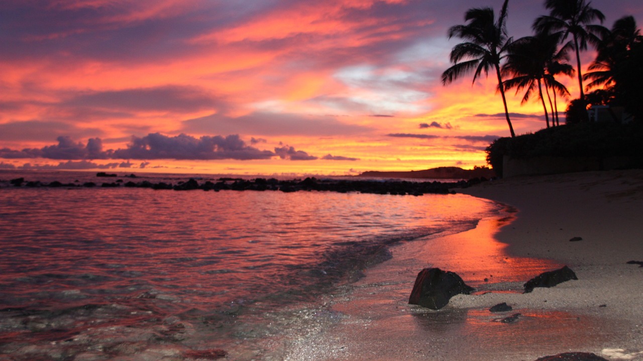 Photo of Others in Koloa