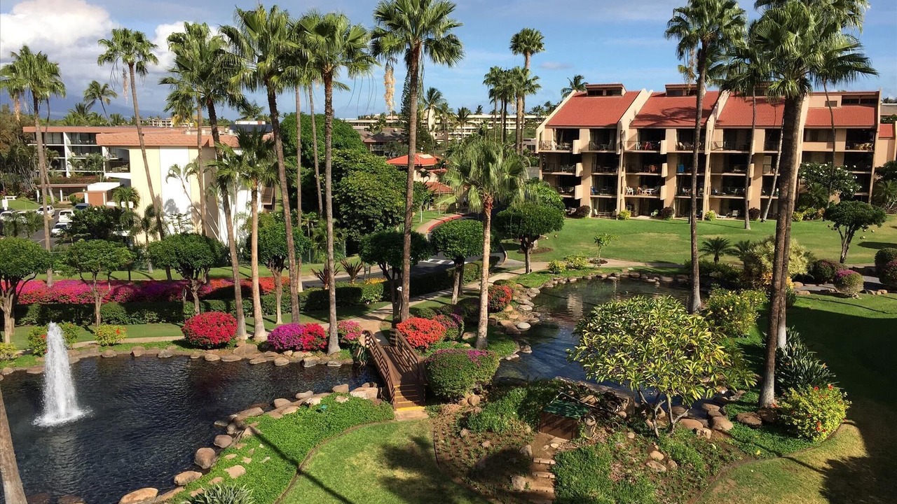 Photo of Others in Kihei