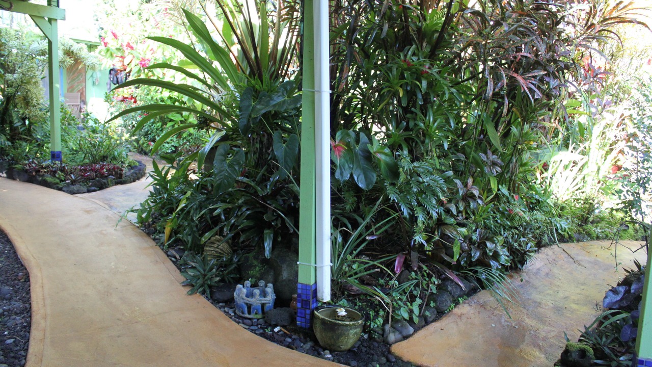 Photo of Outdoor in Keaau