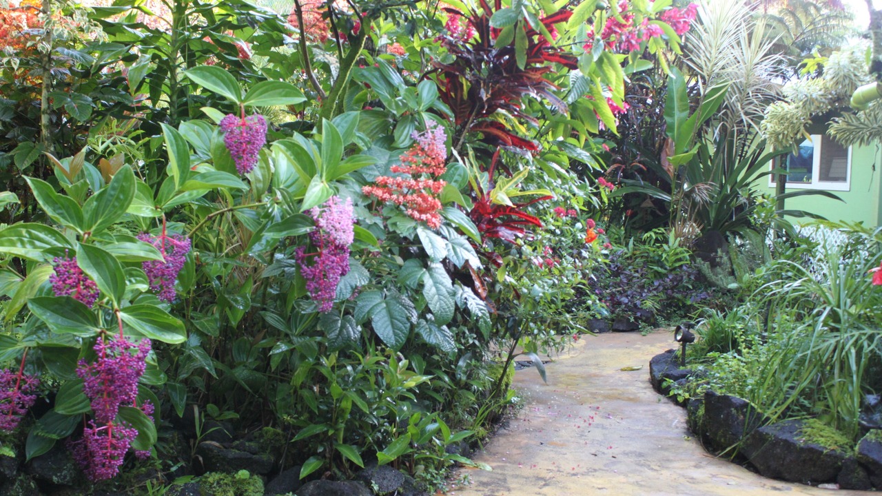 Photo of Outdoor in Keaau