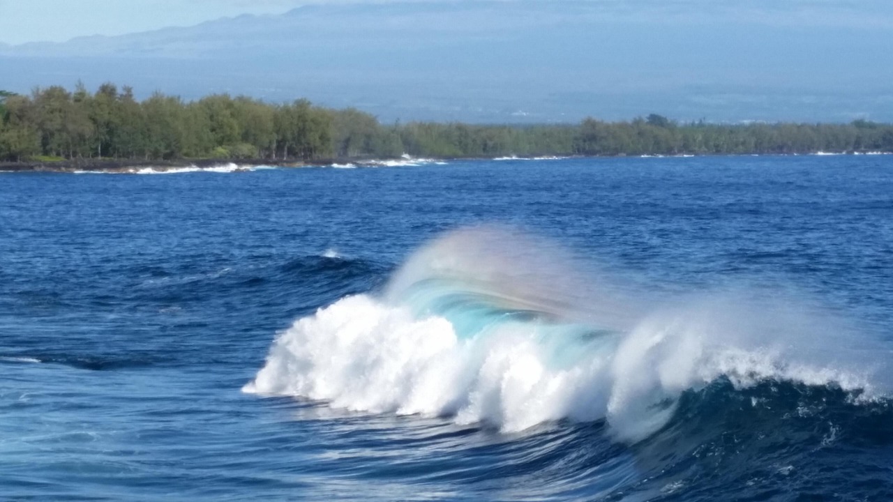 Photo of Others in Keaau