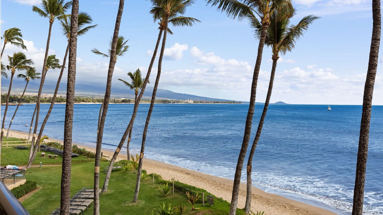 Photo of Others in Kihei