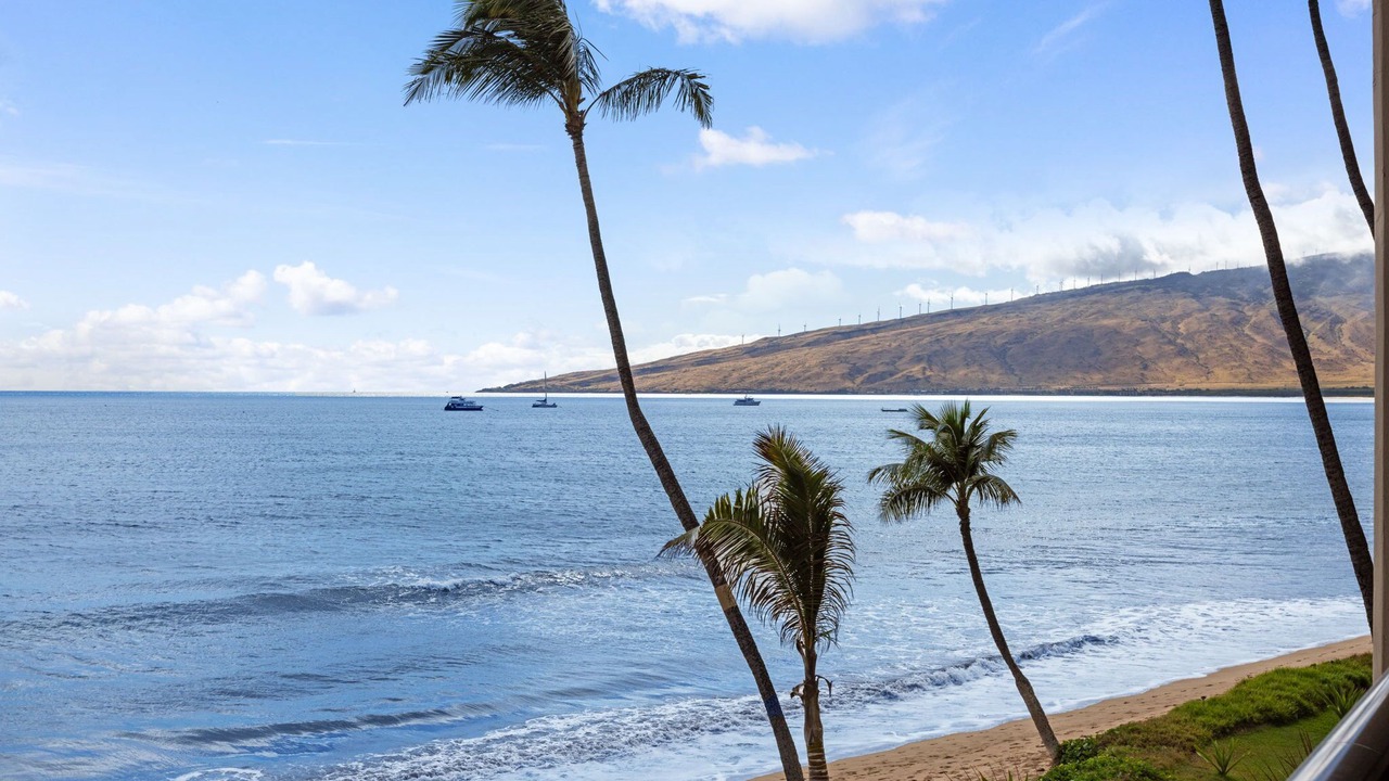 Photo of Others in Kihei