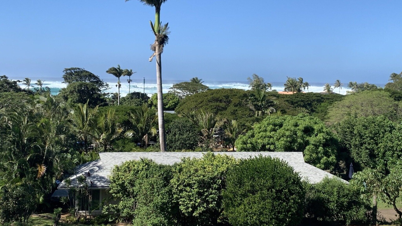 Photo of Outdoor in Pupukea