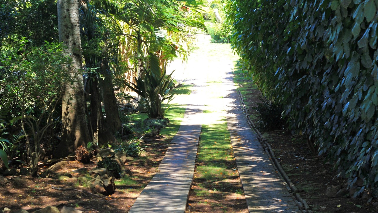 Photo of Outdoor in Pupukea