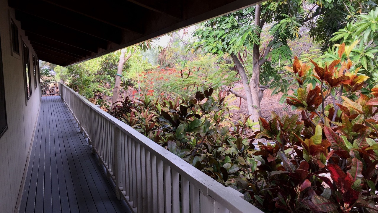 Photo of Outdoor in Kohala Estates