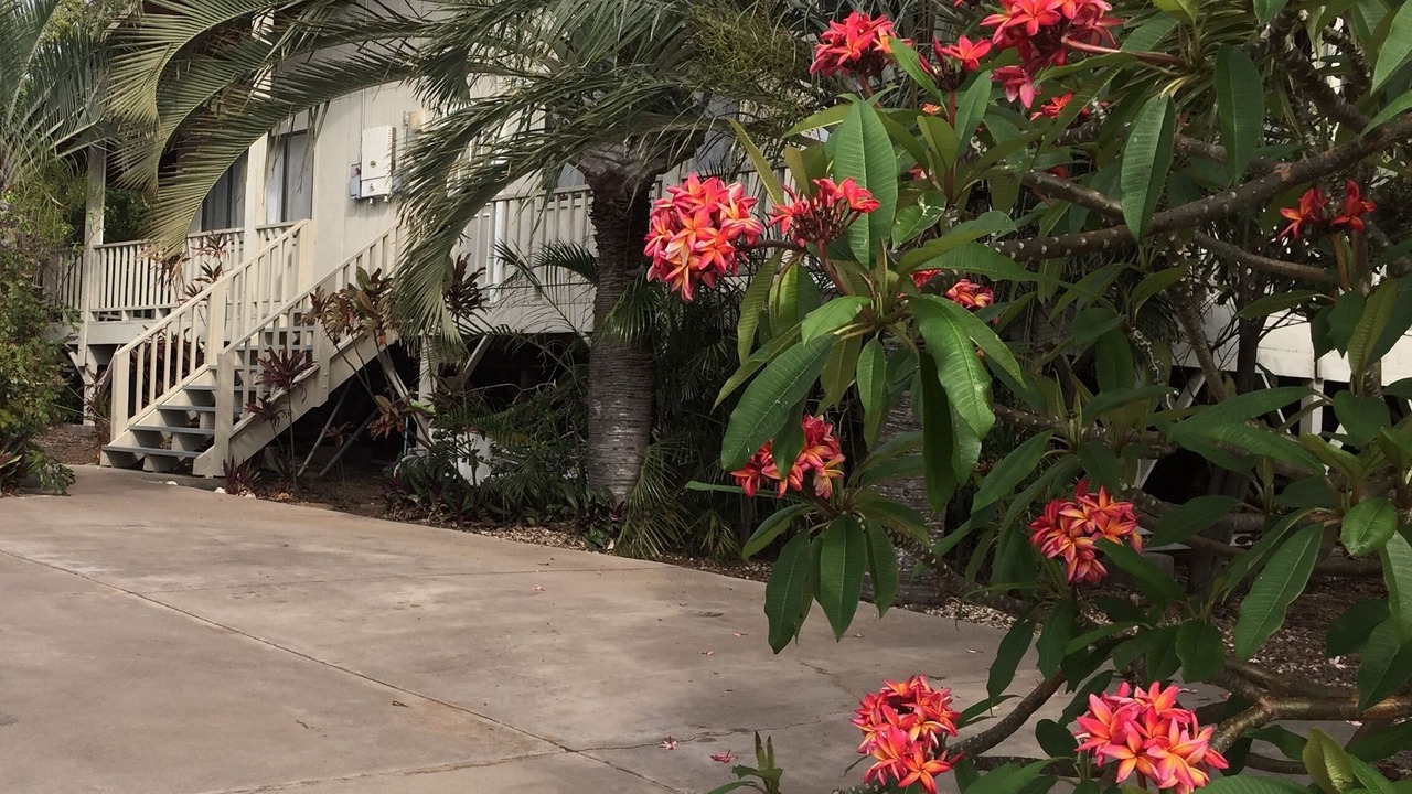 Photo of Others in Kohala Estates