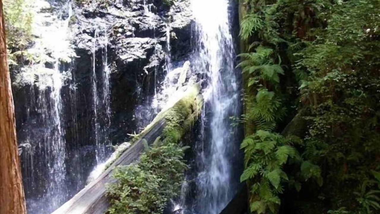 Photo of Others in Mendocino