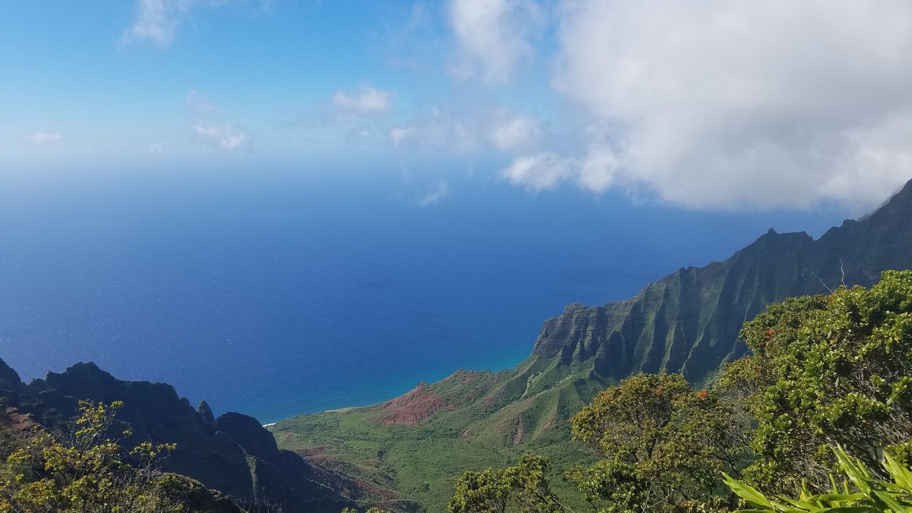Photo of Others in Poipu
