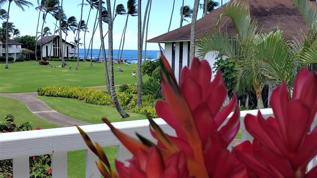 Photo of Others in Poipu