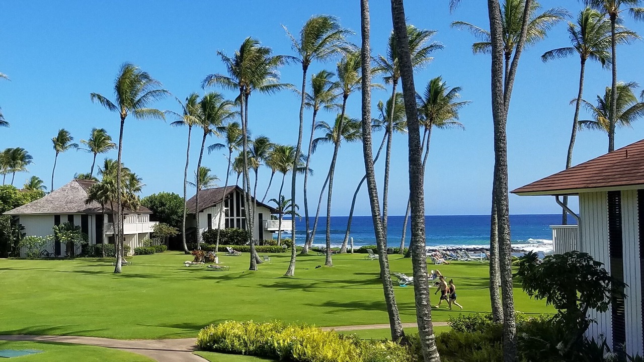 Photo of Others in Poipu