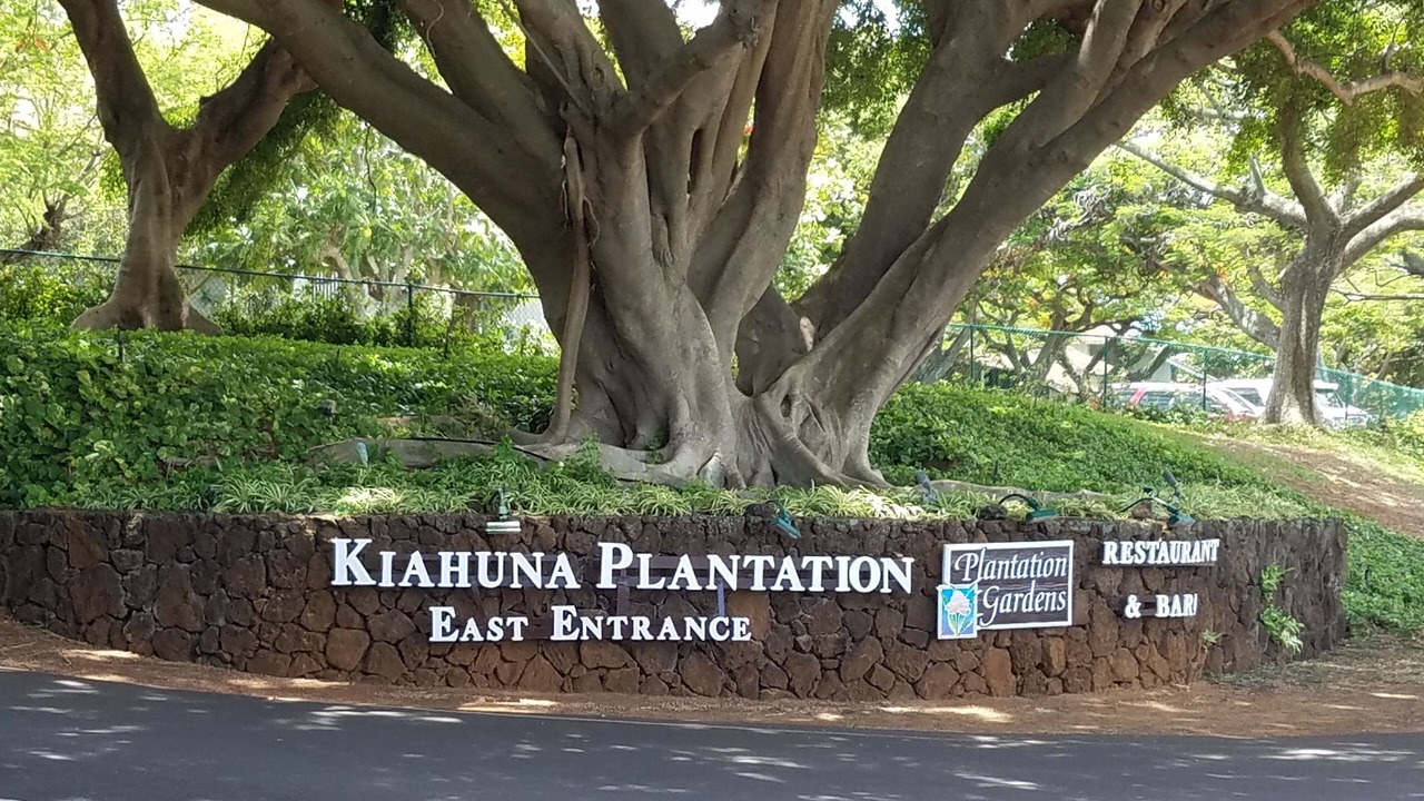 Photo of Others in Poipu