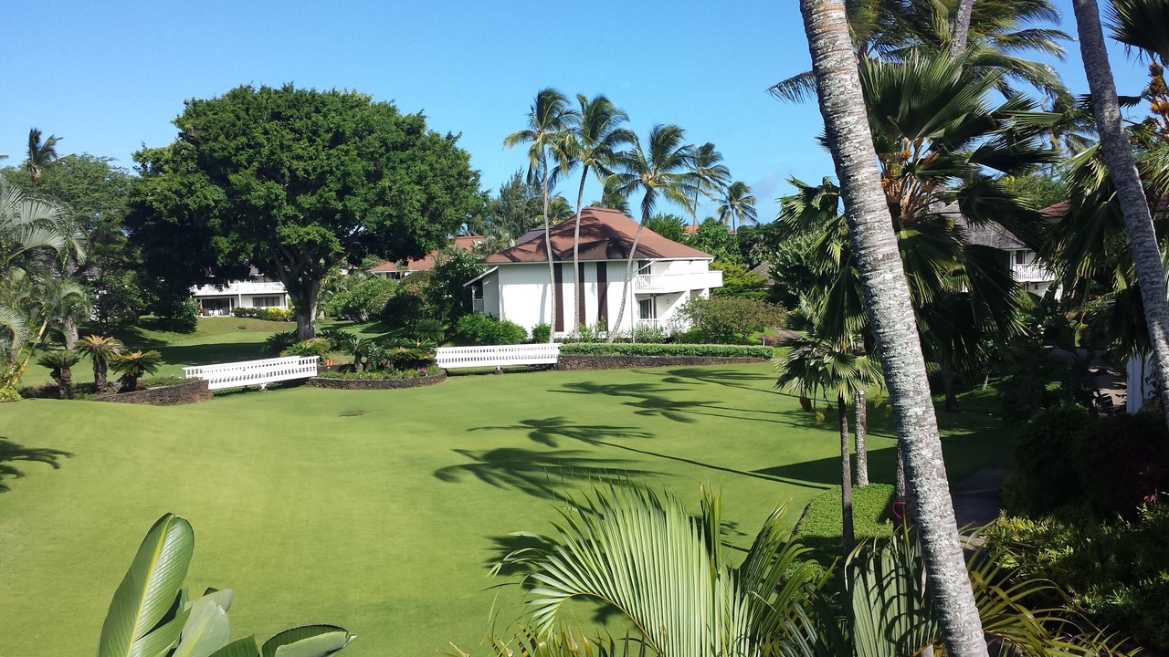 Photo of Others in Poipu