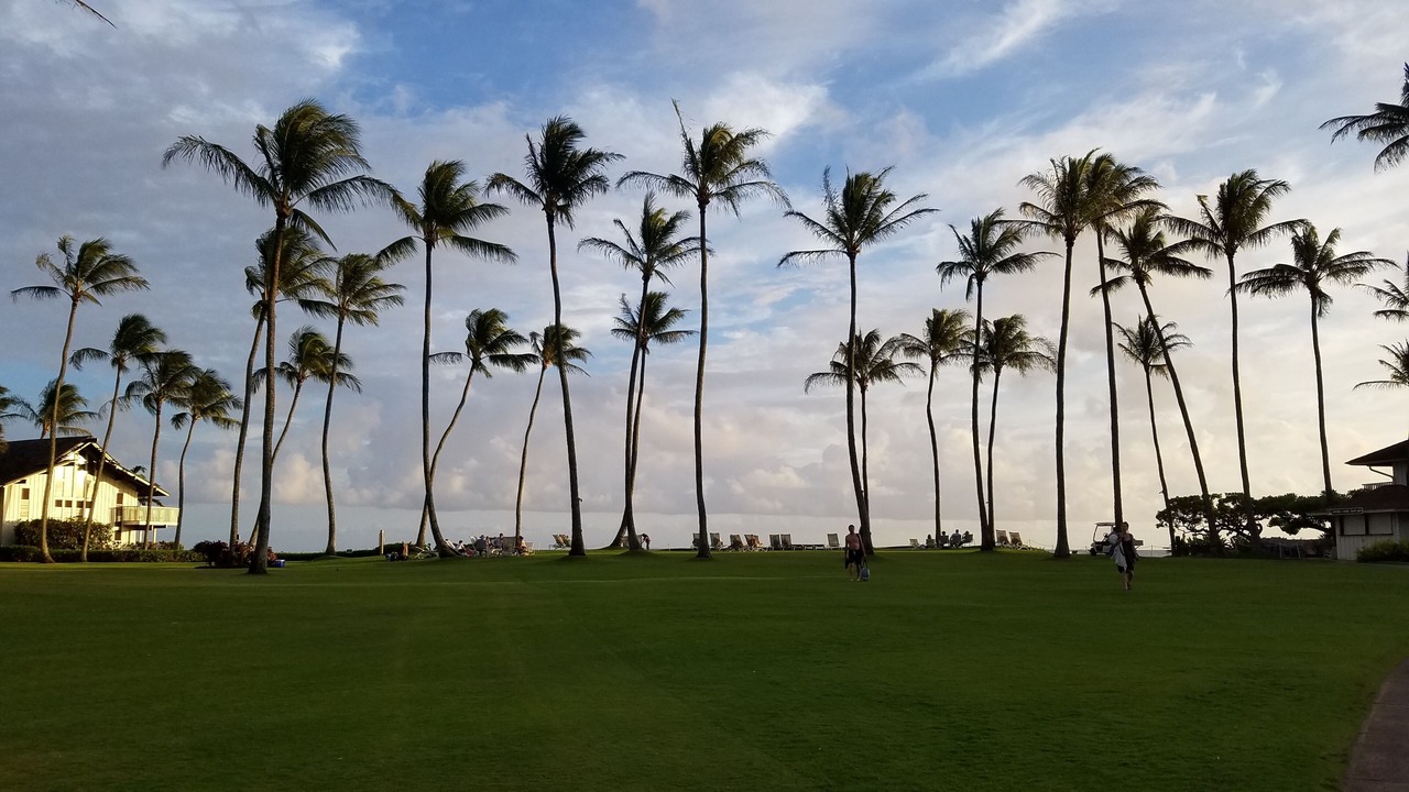 Photo of Others in Poipu